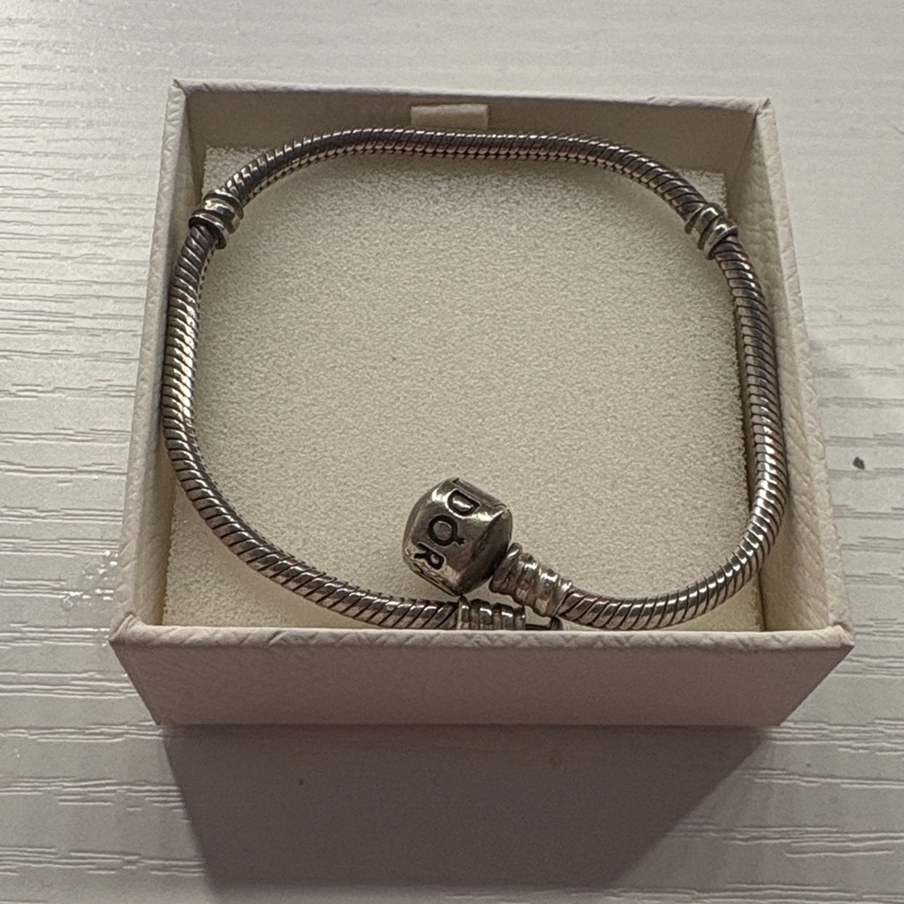 Pandora bracelet for charms